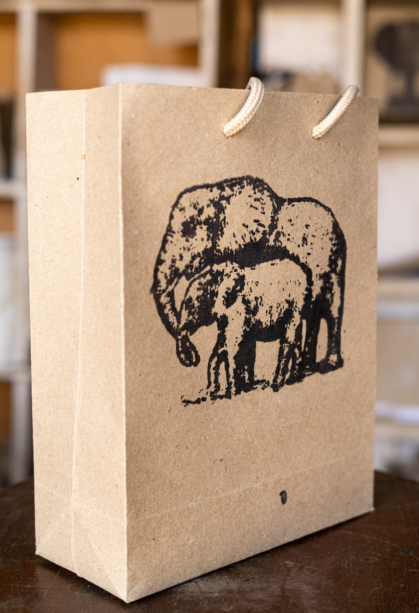 elephant and calf 3d